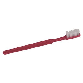 AMPri MED-COMFORT Dental PS Einmal Zahnbürste mit Zahnpasta, verschiedene Farben | Box (100 Stück)