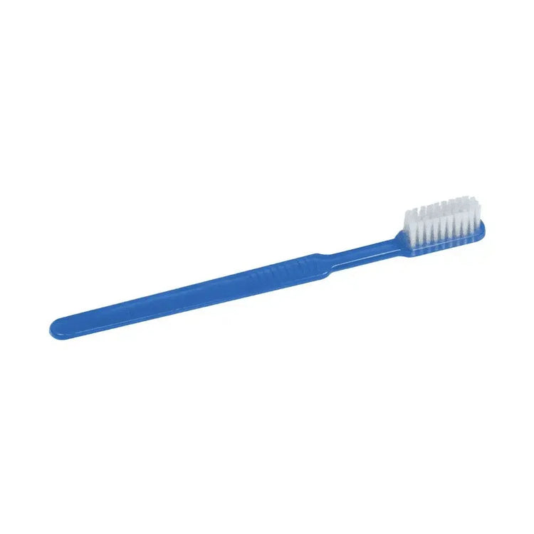 AMPri MED-COMFORT Dental PS Einmal Zahnbürste mit Zahnpasta, verschiedene Farben | Box (100 Stück)